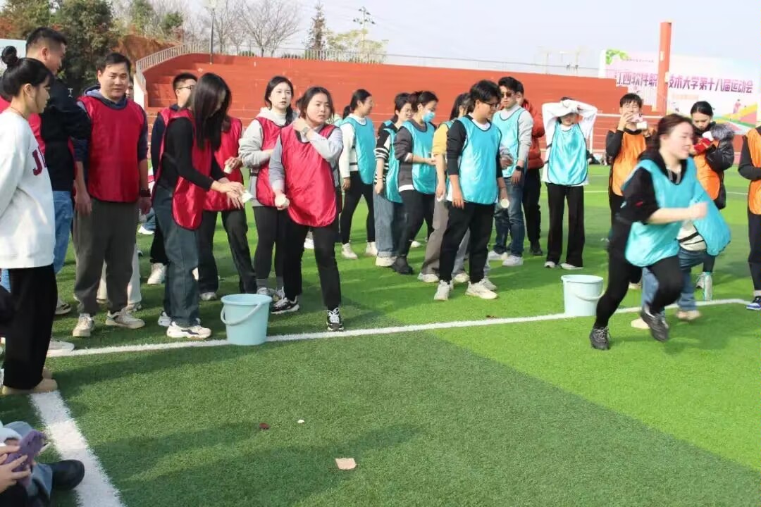 体育比赛中的团队协作精神备受认可