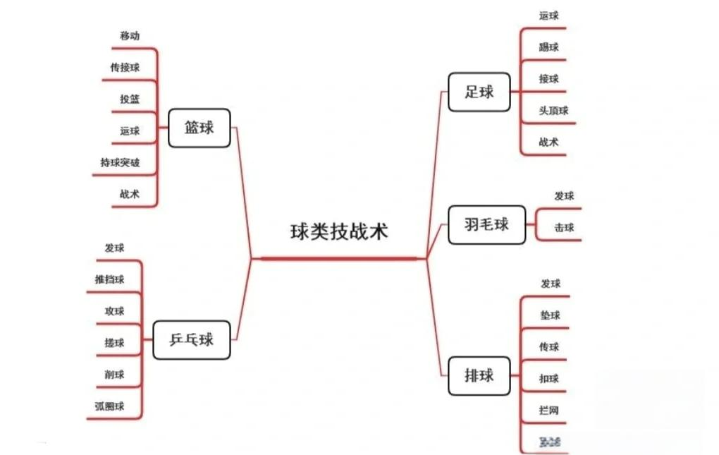 球队战术娴熟，技战术分析丰富